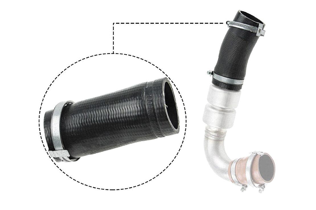 VAICO V251036 Charge Air Hose | ML Performance Car Parts