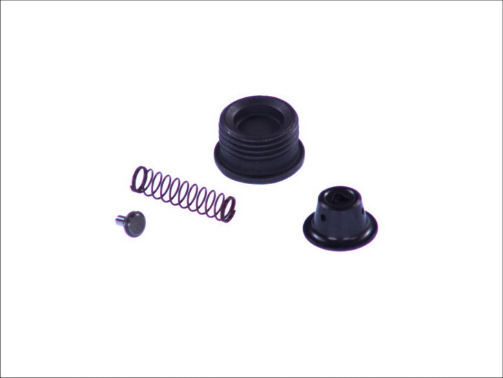BOSCH 201-451 Common Rail System Repair Kit