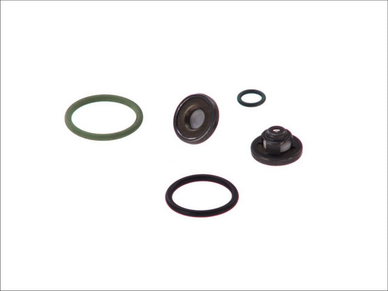BOSCH 2447010021 Distributor Repair Kit