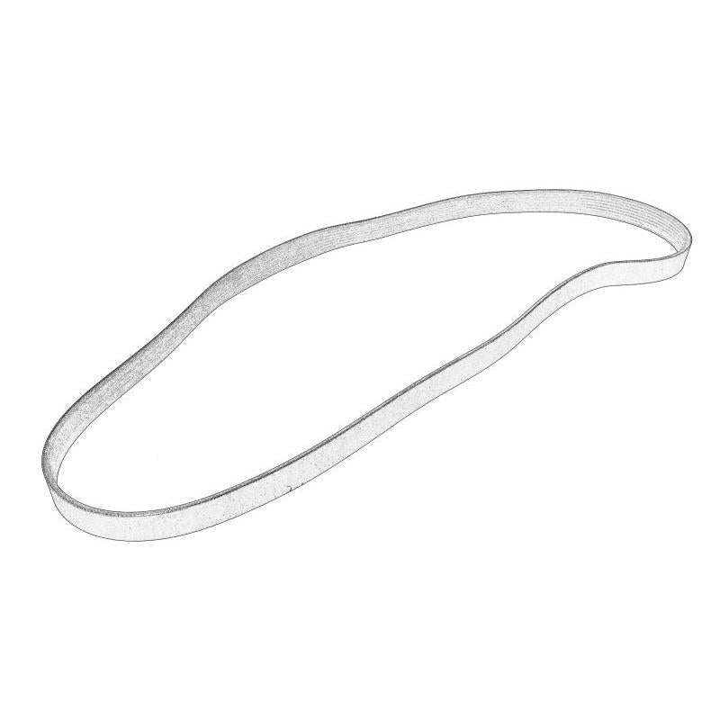 OE AGCO 4285560M3-MF V-Ribbed Belt