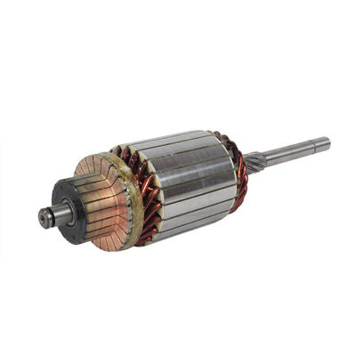 Mahle MSX605 - Armature, starter