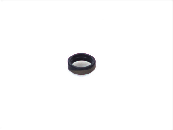 BOSCH 223-003 Nozzle Holder Seal Ring