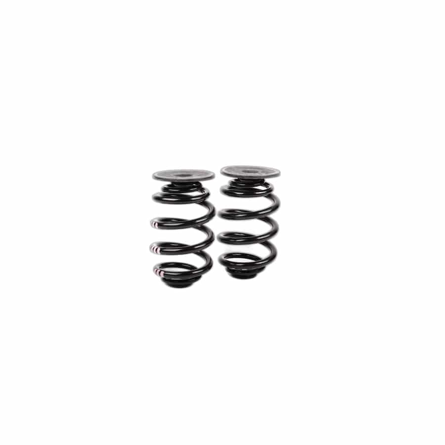 Genuine BMW 33539067378 E36 Set Coil Springs (Inc. M3) | ML Performance UK Car Parts