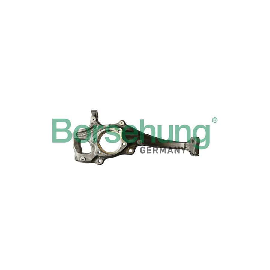 Borsehung B12110 Steering Knuckle