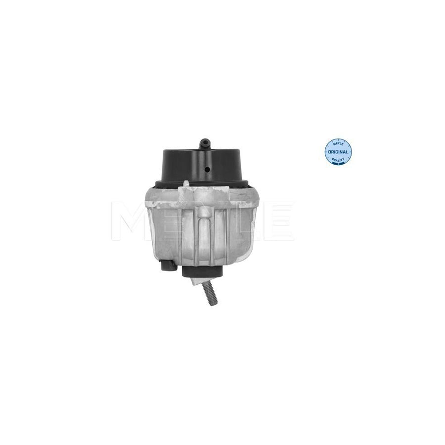 Meyle 314 030 0012 Engine Mount