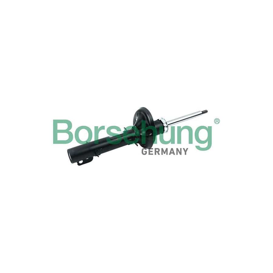 Borsehung B12134 Shock Absorber
