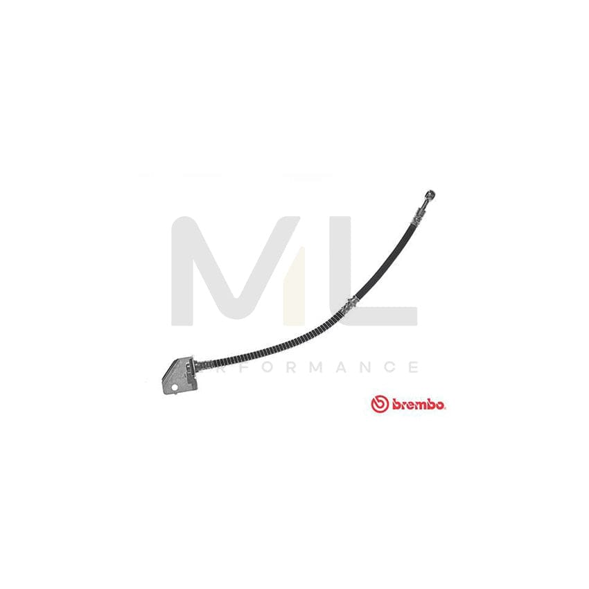 BREMBO T 24 122 Brake Hose 440mm, M10X1 | ML Performance Car Parts
