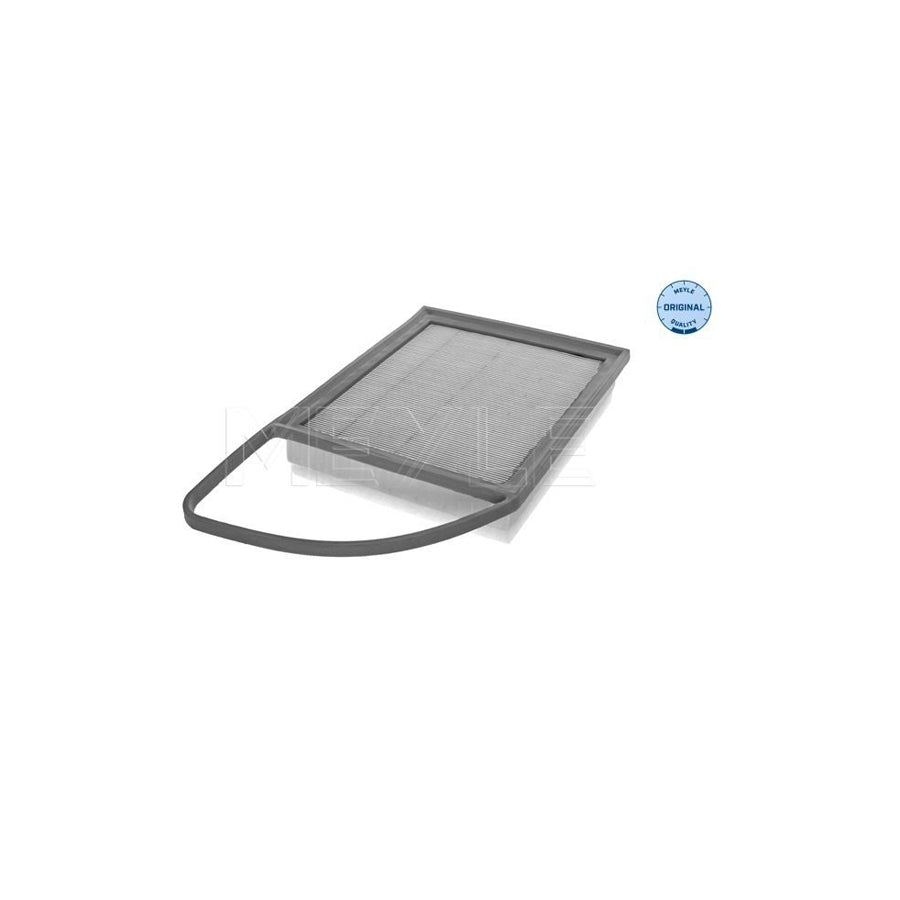 Meyle 11-12 321 0019 Air Filter