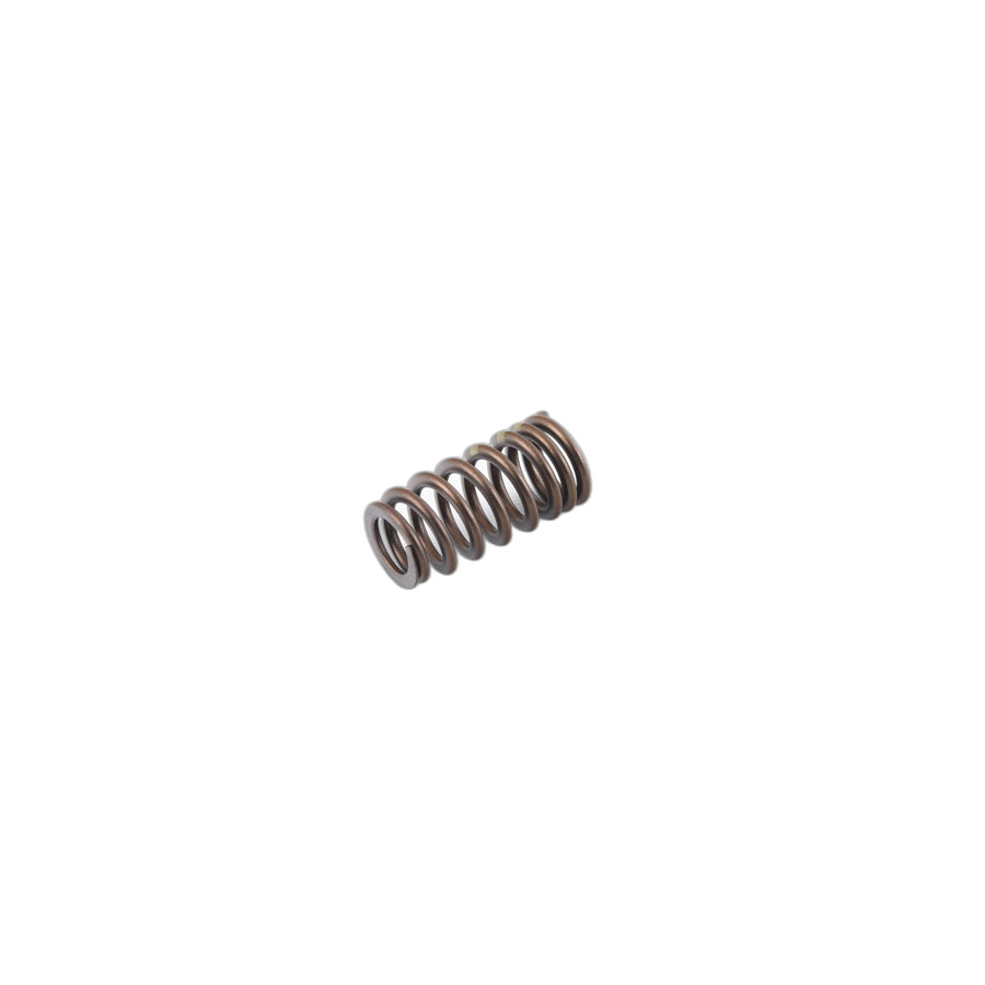 Genuine BMW 11347563462 F87 F83 F82 Valve Spring (Inc. M4, M2 Competition & M4 GTS) | ML Performance UK Car Parts