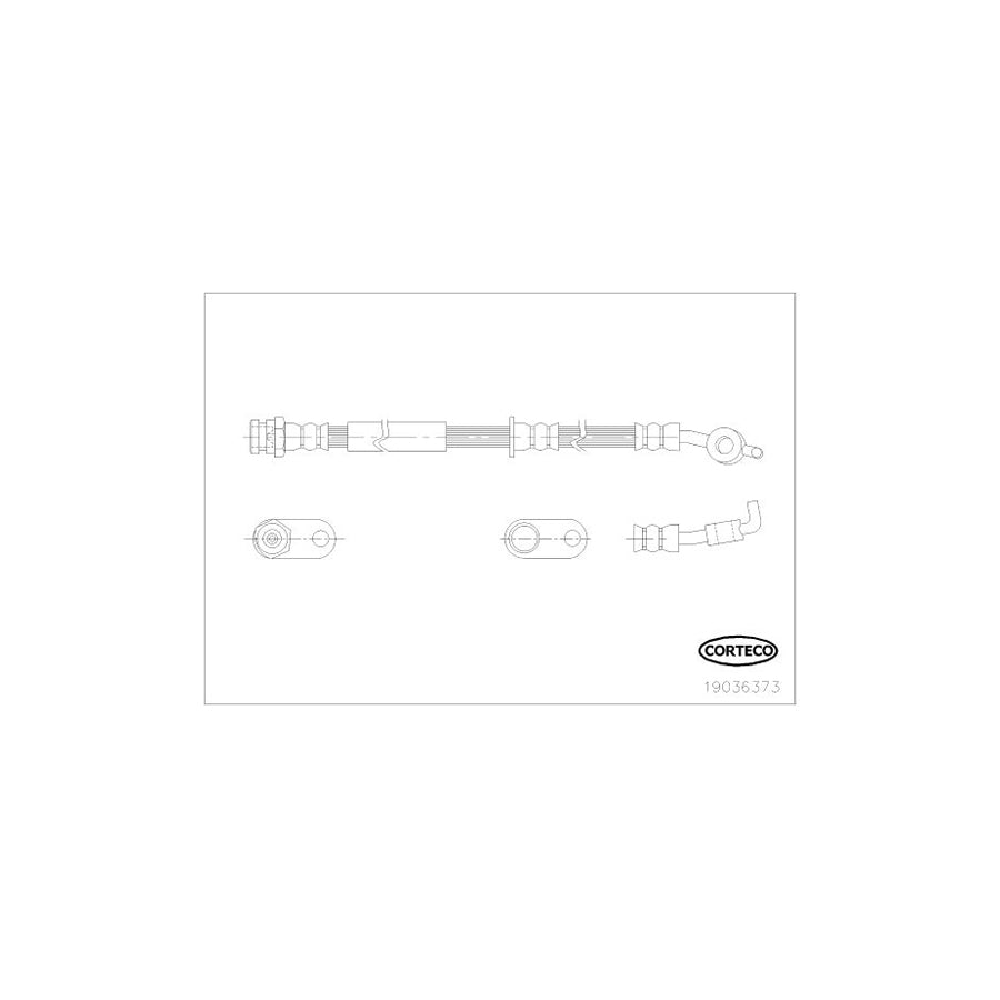 Corteco 19036373 Brake Hose For Mazda 2 Hatchback (De, Dh) | ML Performance UK