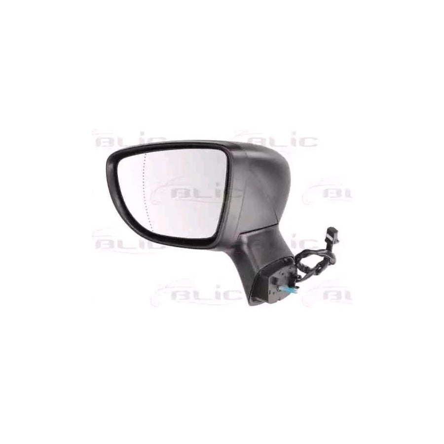 Blic 5402-09-2002101P Wing Mirror For Renault Captur (J5_, H5_)