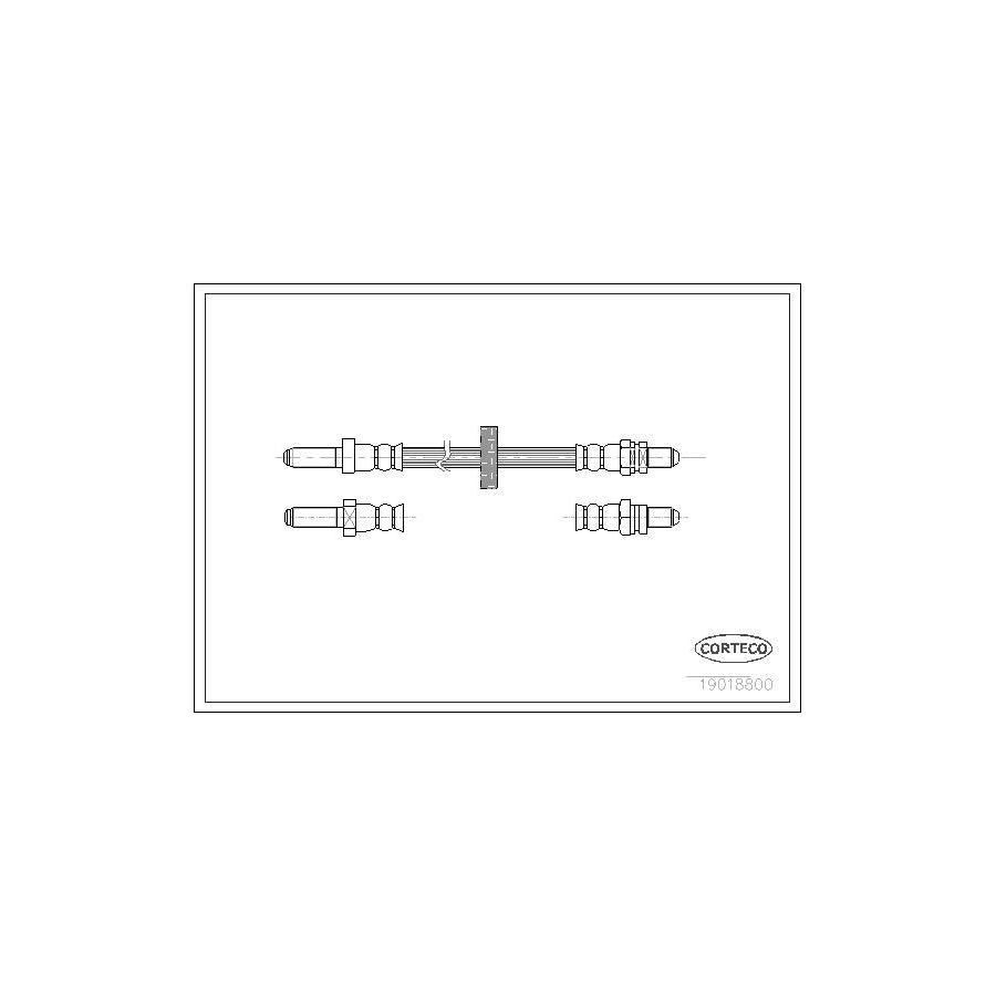 Corteco 19018800 Brake Hose | ML Performance UK