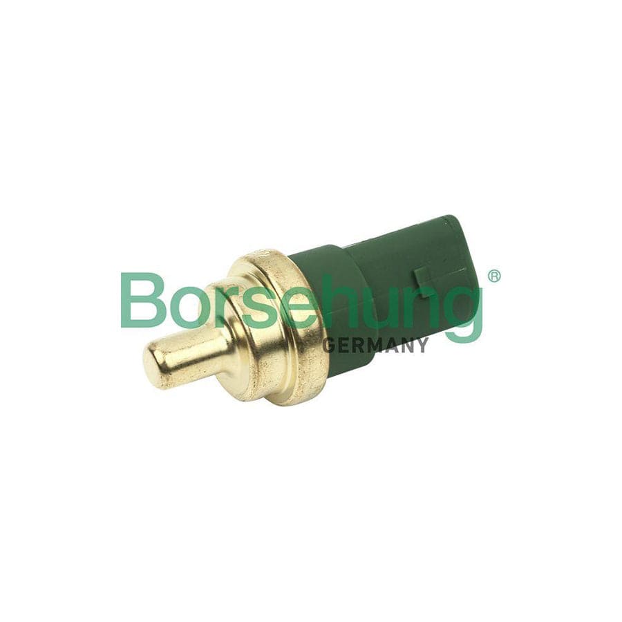 Borsehung B13132 Sensor, Coolant Temperature
