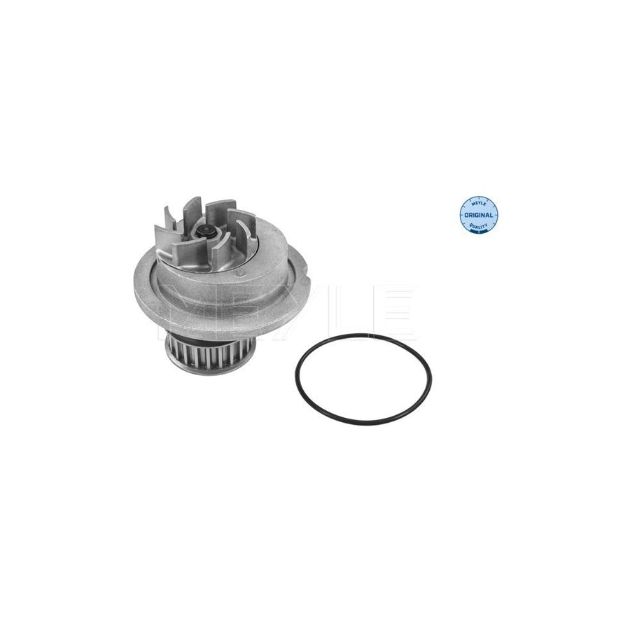 Meyle 29-13 220 0001 Water Pump