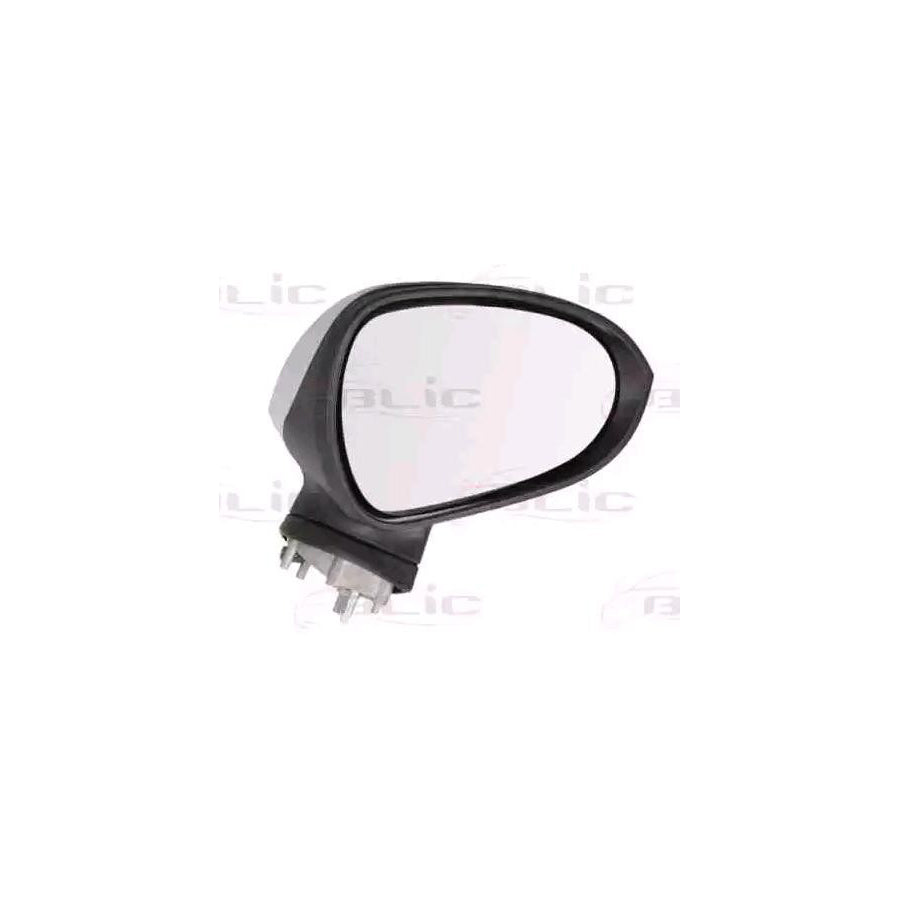 Blic 5402-10-2002282P Wing Mirror For Seat Exeo