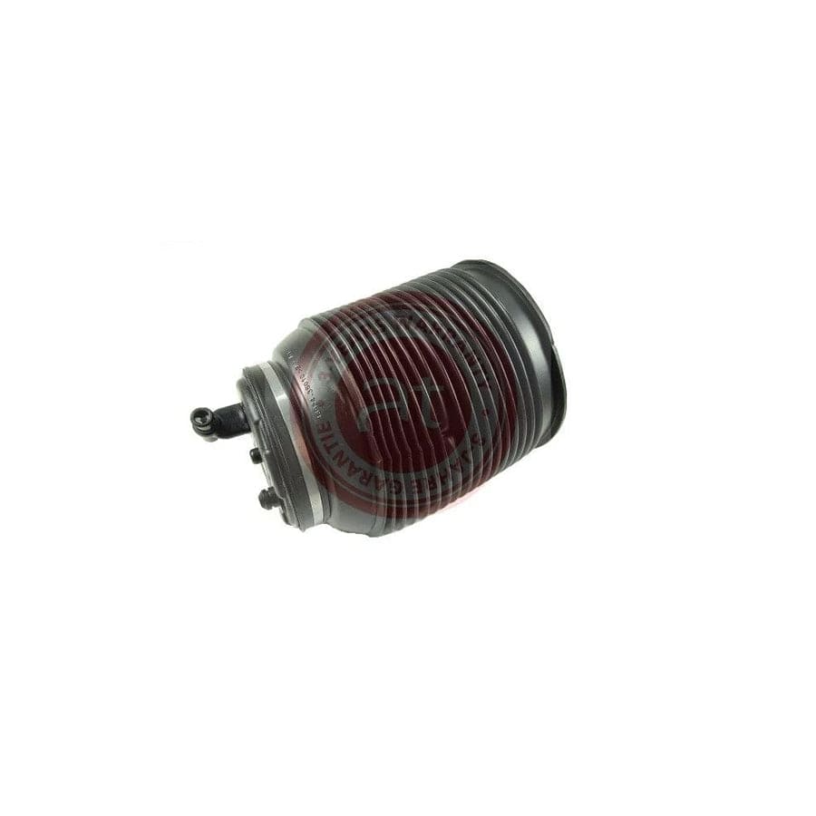 At Autoteile Germany at10867 Air Spring, Suspension