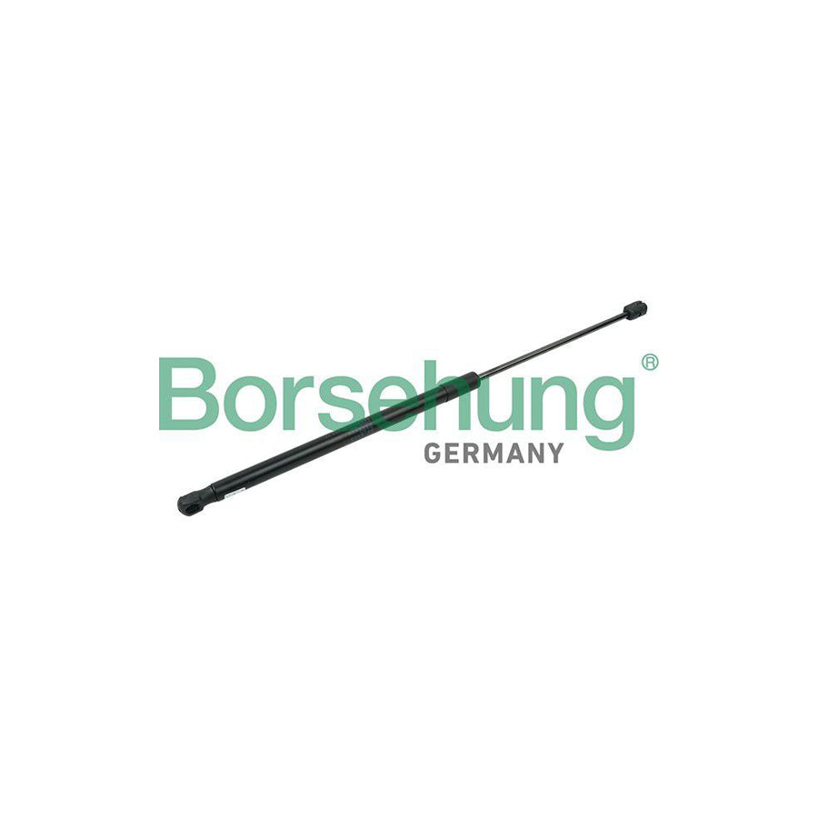 Borsehung B14199 Tailgate Strut For Skoda Octavia Ii Hatchback (1Z3)