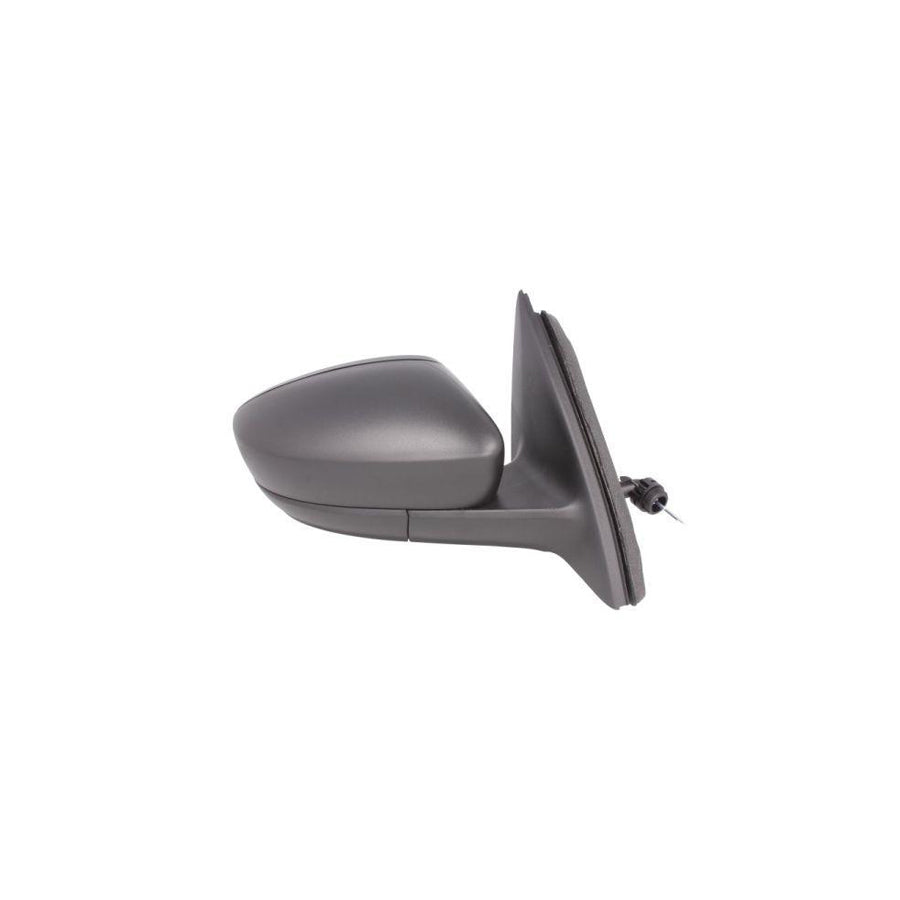 Blic 5402-10-2002320P Wing Mirror