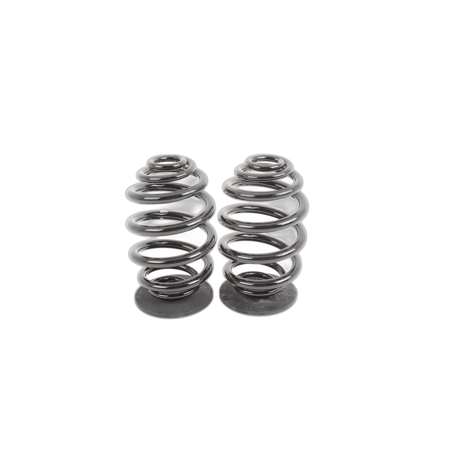 Genuine BMW 33539065357 E36 Set Coil Springs (Inc. 320i & 325i) | ML Performance UK Car Parts