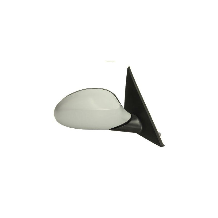 Blic 5402-04-1192823 Wing Mirror