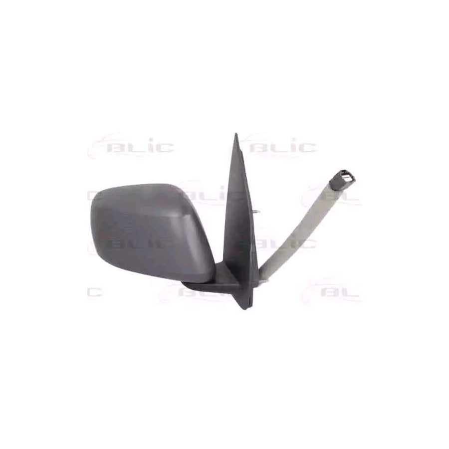 Blic 5402-16-2001926P Wing Mirror