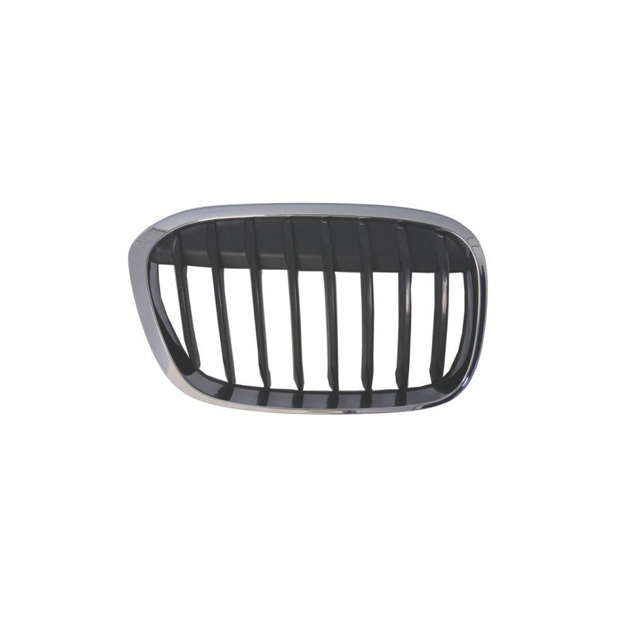 Blic 6502-07-0082994Mp Radiator Grille For BMW X1 (F48)