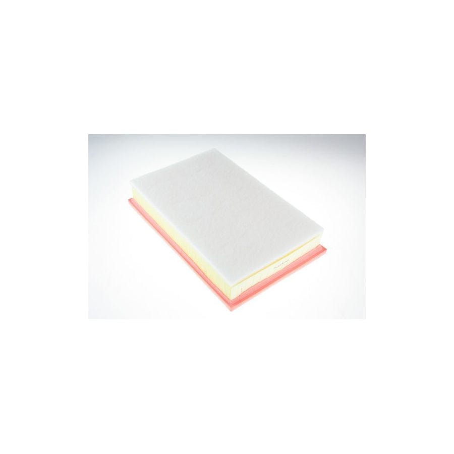 AUTOMEGA 180032910 Air Filter for VW Passat B7 Saloon (362) | ML Performance UK Car Parts