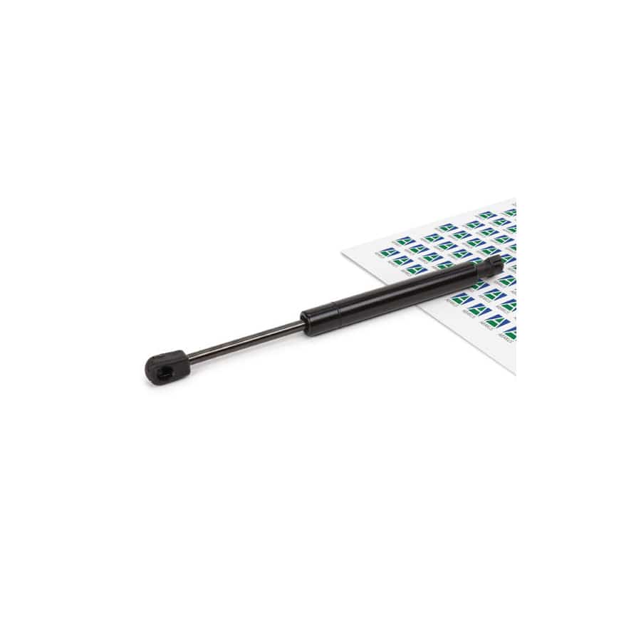 Abakus 10100750 Bonnet Strut | ML Performance UK