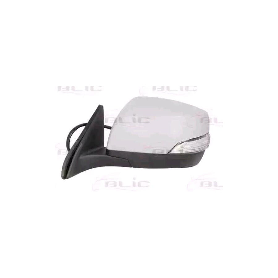 Blic 5402-17-2002397P Wing Mirror For Subaru Outback IV (Br)