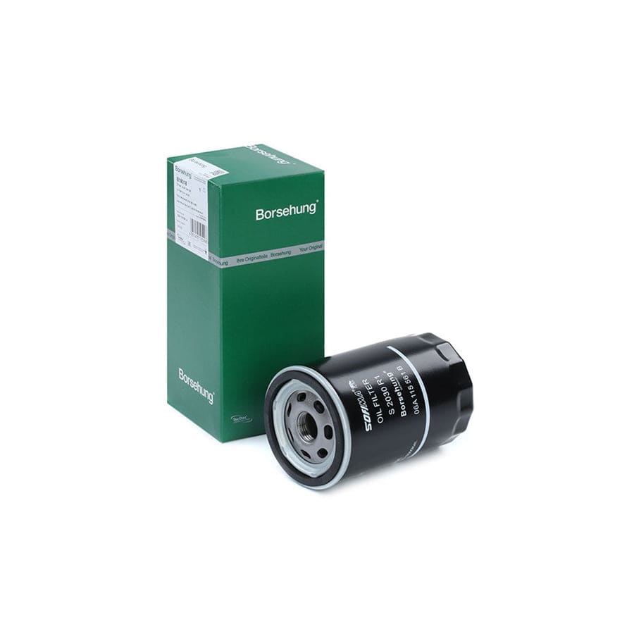 Borsehung B18018 Oil Filter