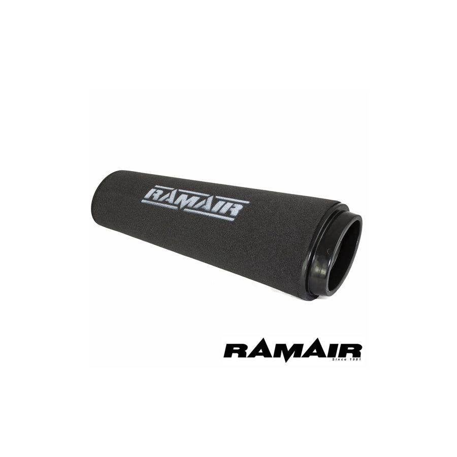 RAMAIR RPF-1752 BMW D 10 (E39) 3.0 D (09/99 -) PANEL FILTERS | ML Performance UK Car Parts