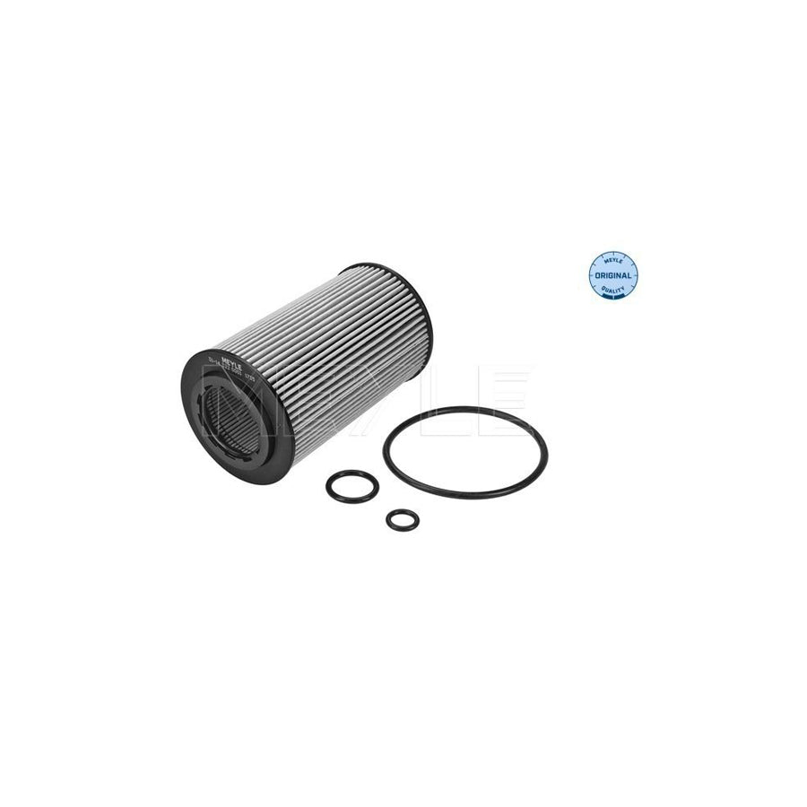 Meyle 31-14 322 0001 Oil Filter