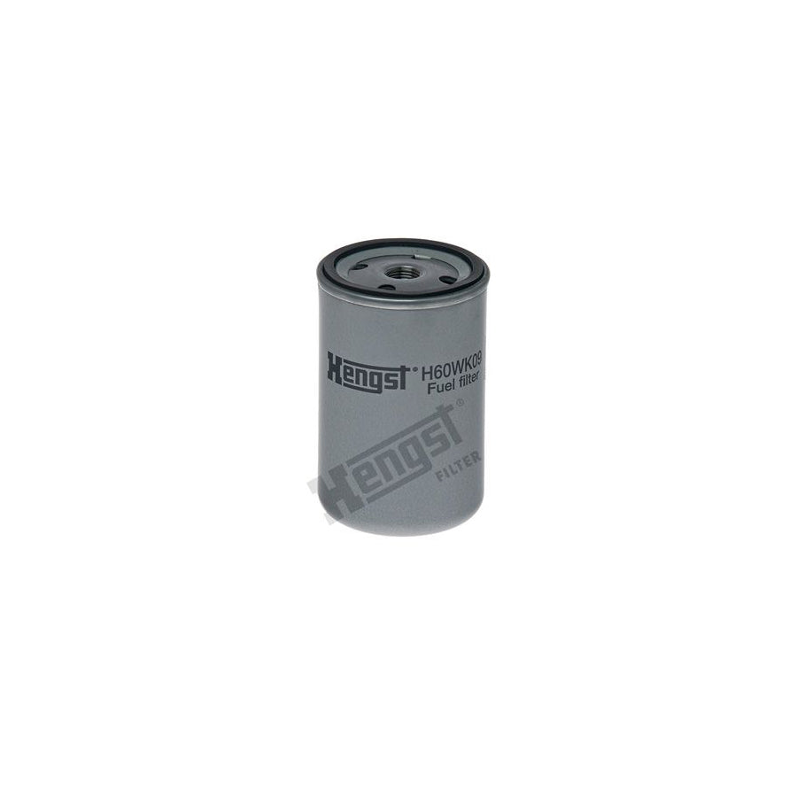 Hengst Filter H60WK09 Fuel Filter