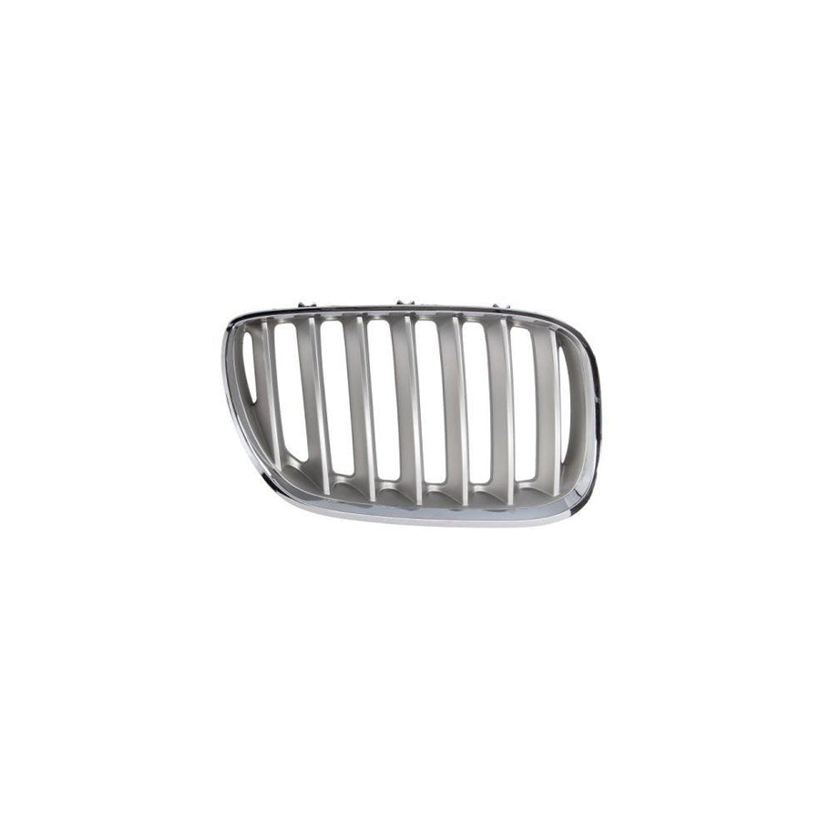 Blic 6502-07-0095998P Radiator Grille For BMW X5 (E53)
