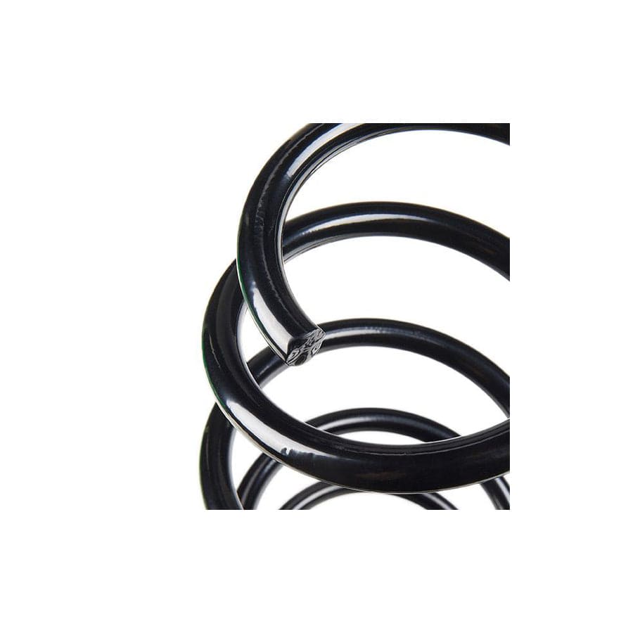 KYB Ra1119 Coil Spring For Fiat 500L (351, 352)