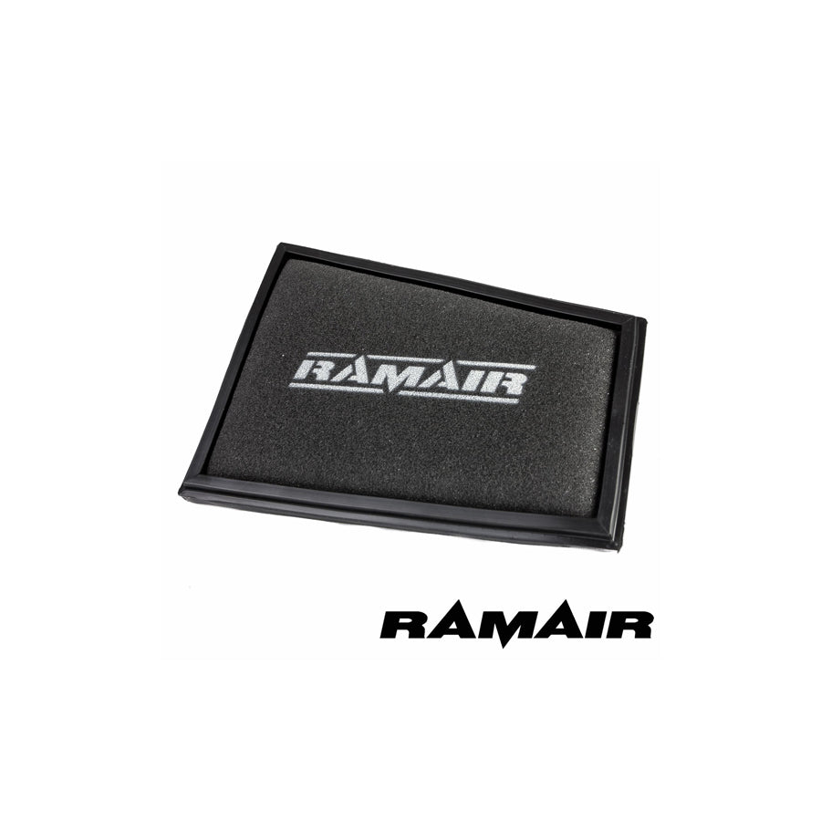 RAMAIR RPF-3115 RENAULT MEGANE MK 3 2.0 16V TCE (01/09 -) PANEL FILTERS | ML Performance UK Car Parts