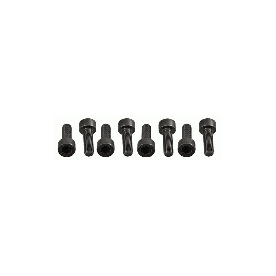 Sachs 1874 000 062 Screw Set, Flywheel