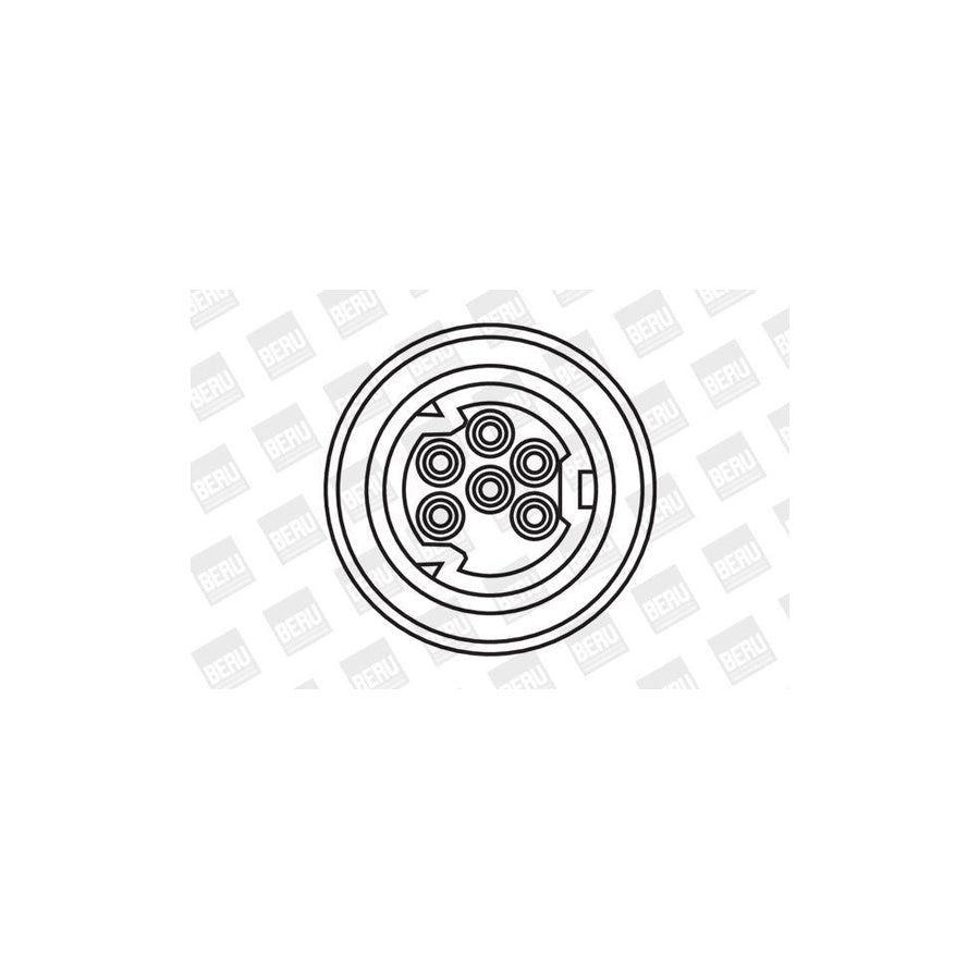 Beru ZS307 Ignition Coil