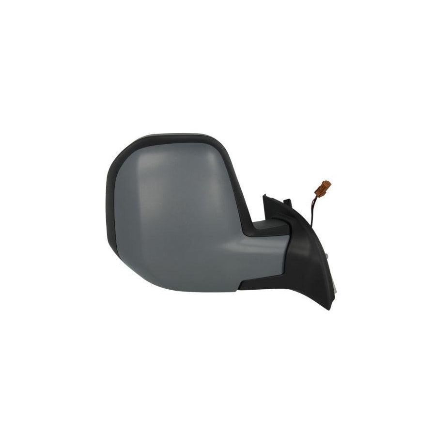 Blic 5402-04-9229998 Wing Mirror