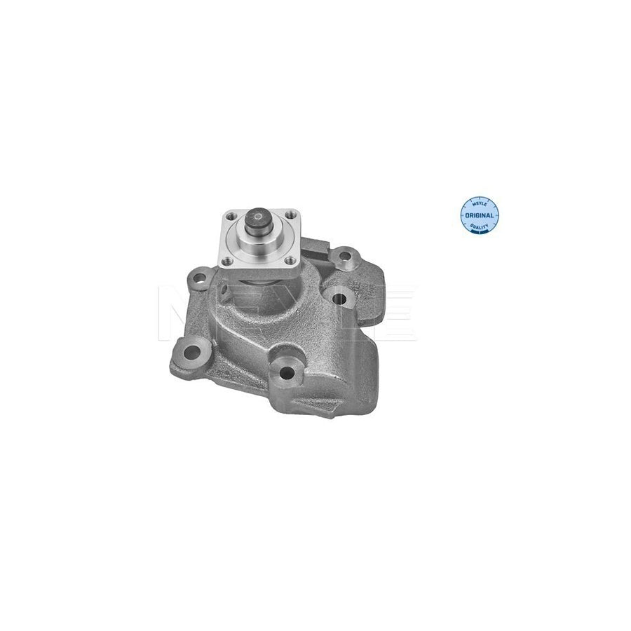 Meyle 713 001 0002 Water Pump For Ford Transit