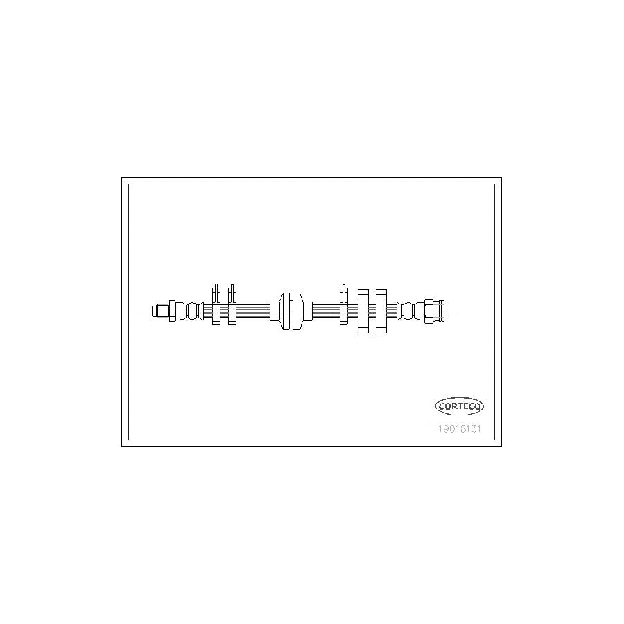 Corteco 19018131 Brake Hose | ML Performance UK