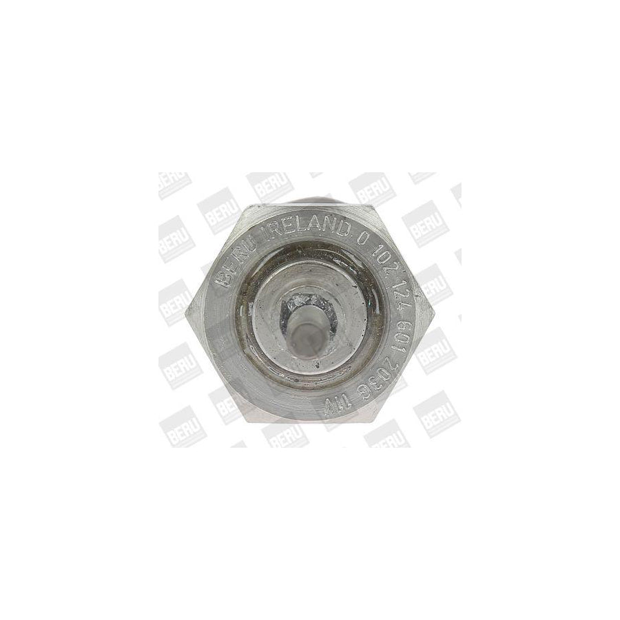 Beru 0135200069 Nozzle And Holder Assembly