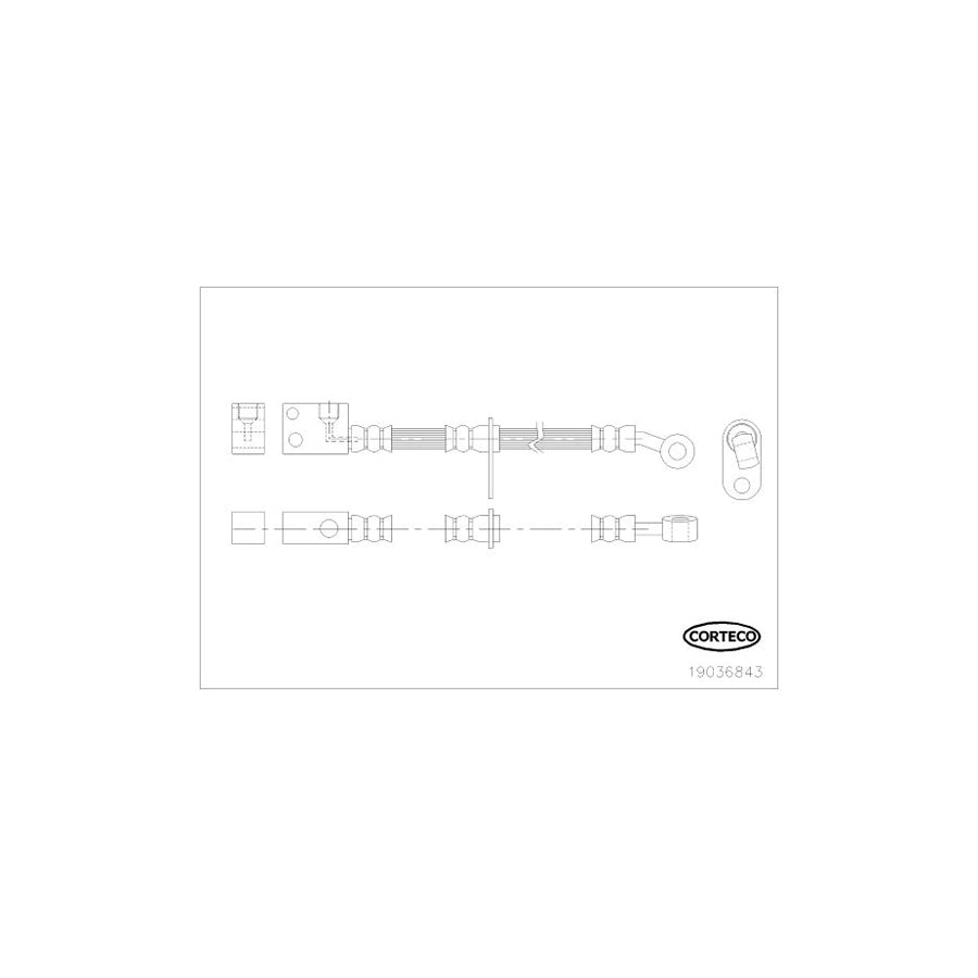 Corteco 19036843 Brake Hose For Honda Civic Viii Hatchback (Fn, Fk) | ML Performance UK