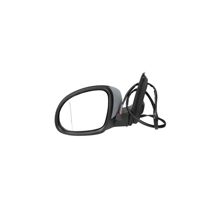 Blic 5402-04-9929131 Wing Mirror