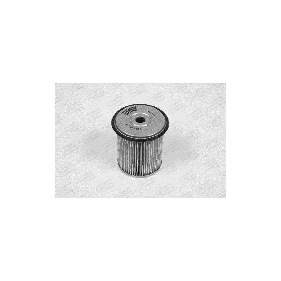 Champion L121/606 Fuel Filter