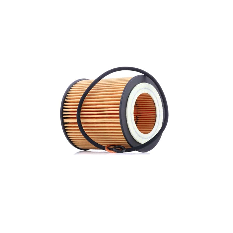 Champion Eon Titan COF100571E Oil Filter