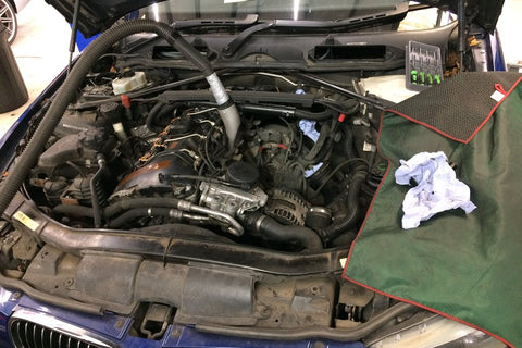 A little about Haylie & Maintenance