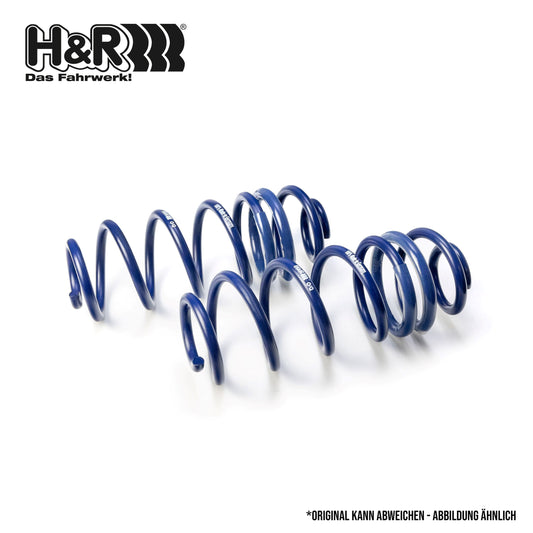 H&R 29078-2 Performance Lowering Springs