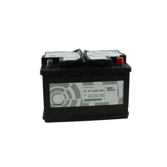 Genuine BMW 61216805461 Original BMW Agm-Battery 70 AH