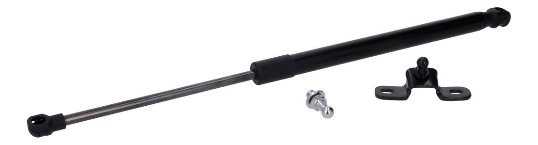 Ackoja A260462 Gas Spring, Trunk/Cargo Area | ML Performance Car Parts
